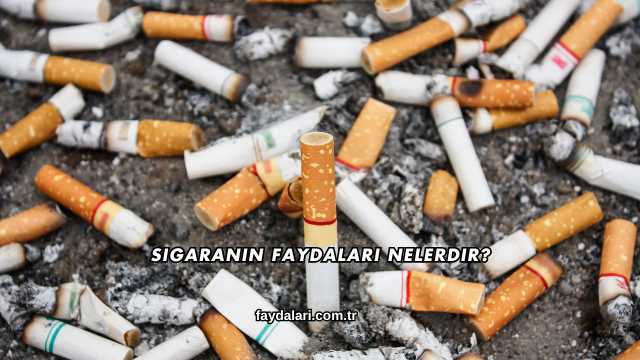 Sigaranın Faydaları Nelerdir?