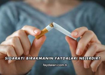 Sigarayı Bırakmanın Faydaları Nelerdir?