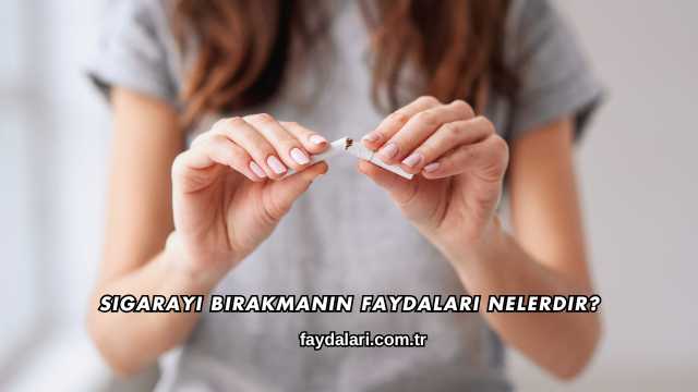 Sigarayı Bırakmanın Faydaları Nelerdir?