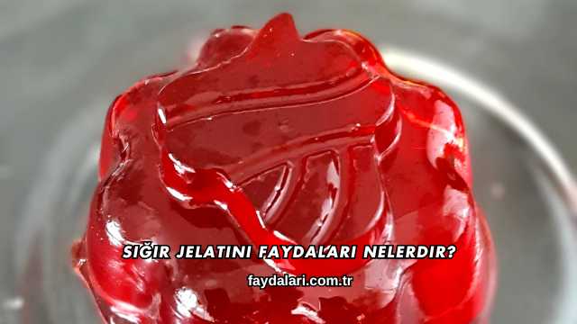 Sığır Jelatini Faydaları Nelerdir?