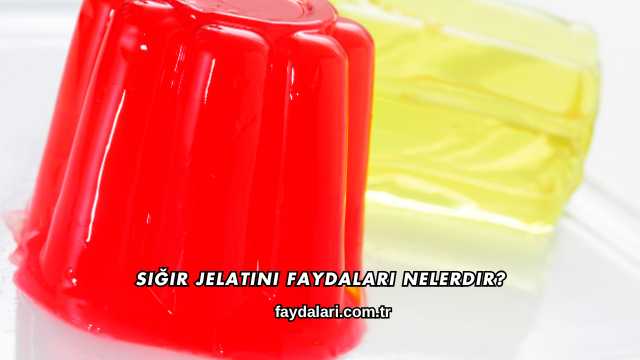 Sığır Jelatini Faydaları Nelerdir?