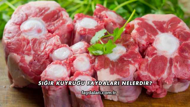 Sığır Kuyruğu Faydaları Nelerdir?