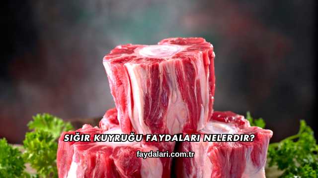 Sığır Kuyruğu Faydaları Nelerdir?