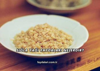 Sığla Yağı Faydaları Nelerdir?