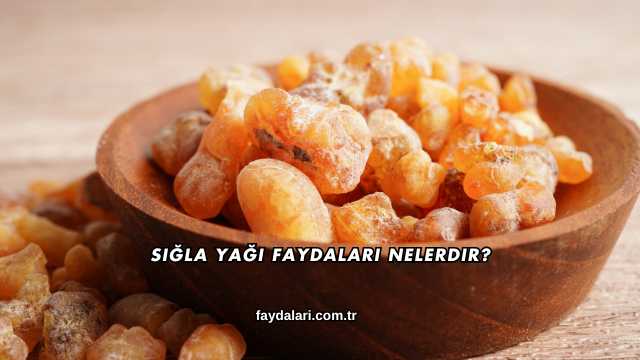 Sığla Yağı Faydaları Nelerdir?