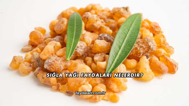 Sığla Yağı Faydaları Nelerdir?