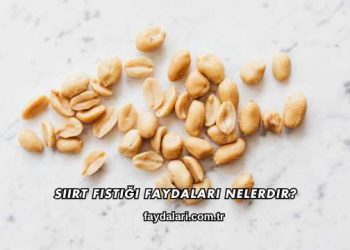 Siirt Fıstığı Faydaları Nelerdir?