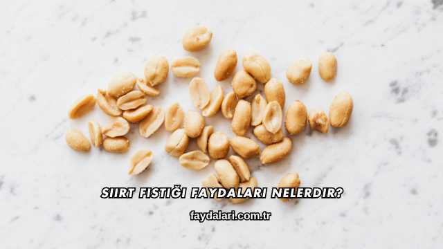 Siirt Fıstığı Faydaları Nelerdir?