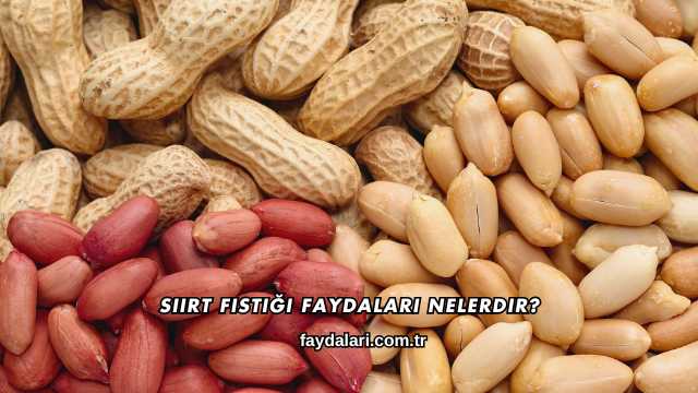 Siirt Fıstığı Faydaları Nelerdir?