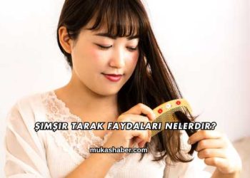 Şimşir Tarak Faydaları Nelerdir?