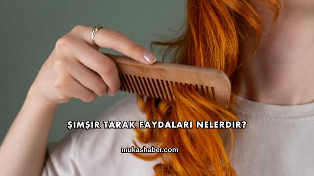 Şimşir Tarak Faydaları Nelerdir?