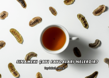 Sinameki Çayı Faydaları Nelerdir?