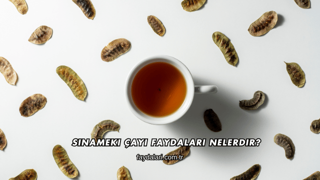 Sinameki Çayı Faydaları Nelerdir?