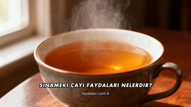 Sinameki Çayı Faydaları Nelerdir?