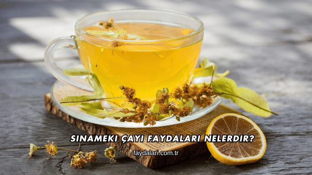 Sinameki Çayı Faydaları Nelerdir?
