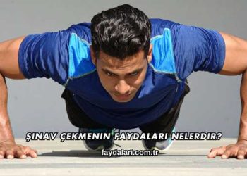 Şınav Çekmenin Faydaları Nelerdir?