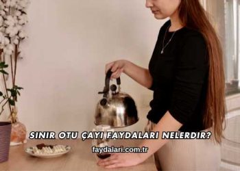 Sinir Otu Çayı Faydaları Nelerdir?