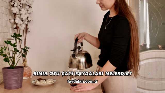 Sinir Otu Çayı Faydaları Nelerdir?