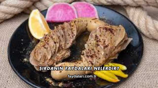 Şırdanın Faydaları Nelerdir?