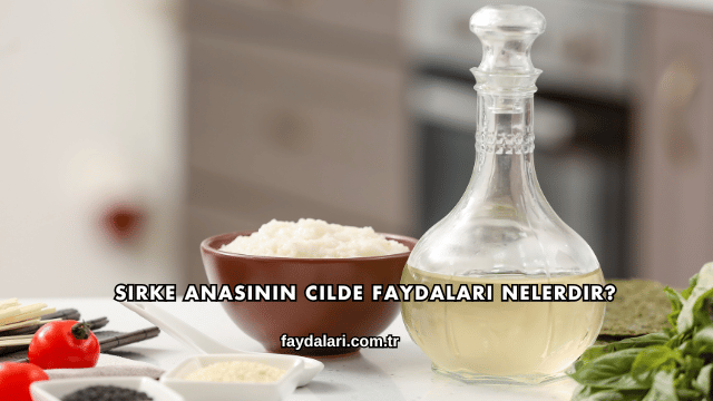 Sirke Anasının Cilde Faydaları Nelerdir?