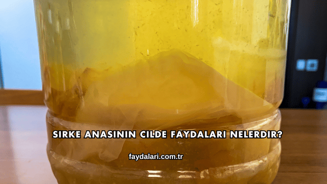 Sirke Anasının Cilde Faydaları Nelerdir?