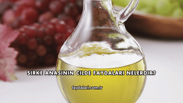 Sirke Anasının Cilde Faydaları Nelerdir?