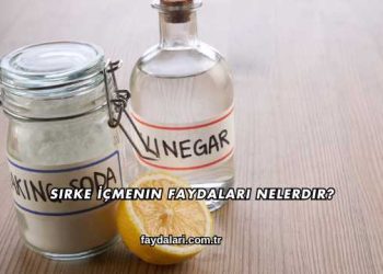 Sirke İçmenin Faydaları Nelerdir?