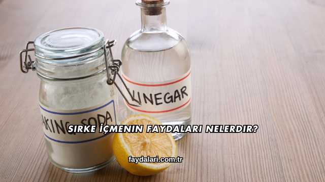 Sirke İçmenin Faydaları Nelerdir?