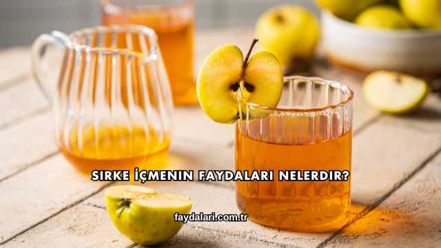Sirke İçmenin Faydaları Nelerdir?