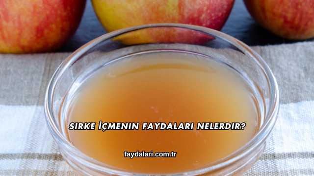 Sirke İçmenin Faydaları Nelerdir?