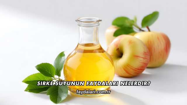 Sirke Suyunun Faydaları Nelerdir?