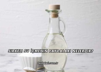 Sirkeli Su İçmenin Faydaları Nelerdir?