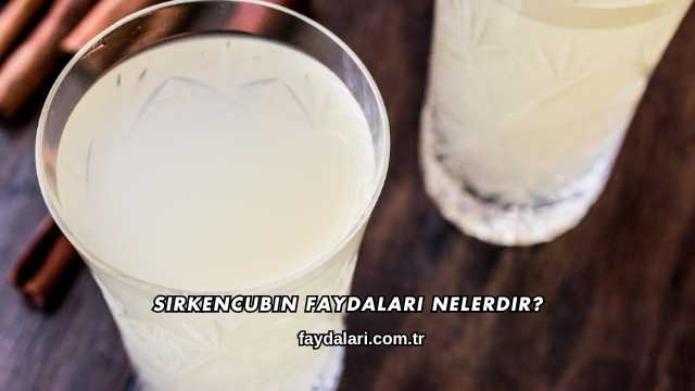 Sirkencubin Faydaları Nelerdir?