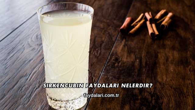 Sirkencubin Faydaları Nelerdir?