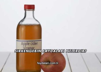 Sirkengebin Faydaları Nelerdir?