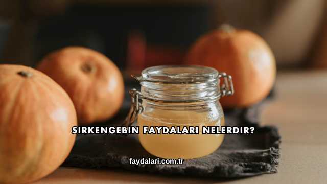 Sirkengebin Faydaları Nelerdir?