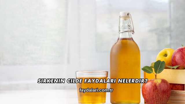 Sirkenin Cilde Faydaları Nelerdir?