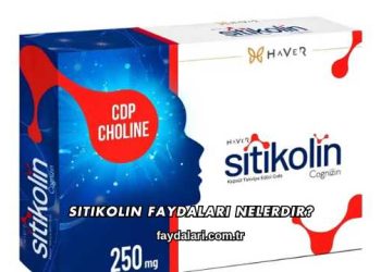 Sitikolin Faydaları Nelerdir?