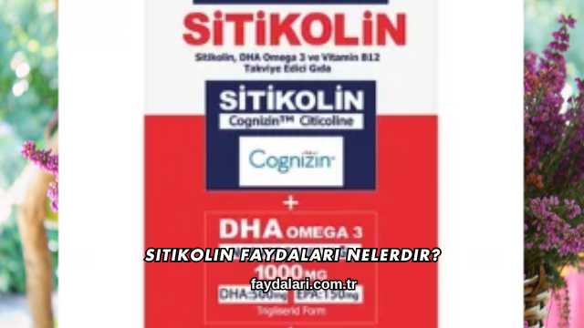 Sitikolin Faydaları Nelerdir?