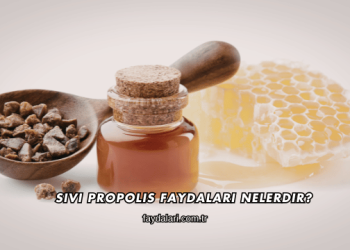 Sıvı Propolis Faydaları Nelerdir?