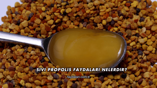 Sıvı Propolis Faydaları Nelerdir?
