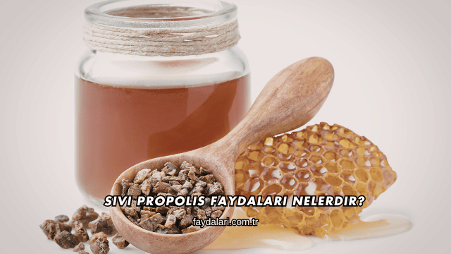Sıvı Propolis Faydaları Nelerdir?