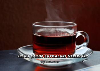 Siyah Çayın Faydaları Nelerdir?