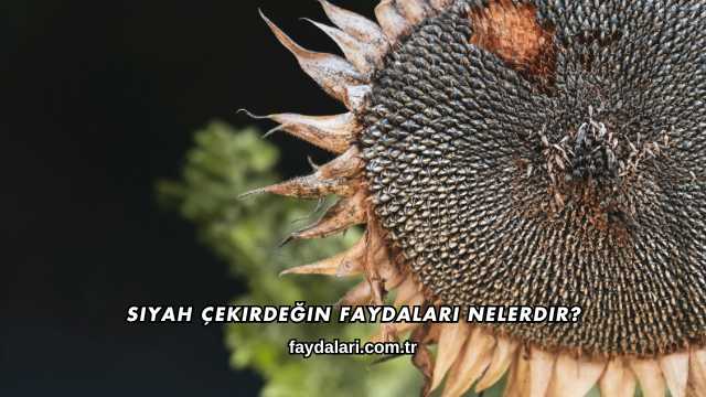 Siyah Çekirdeğin Faydaları Nelerdir?