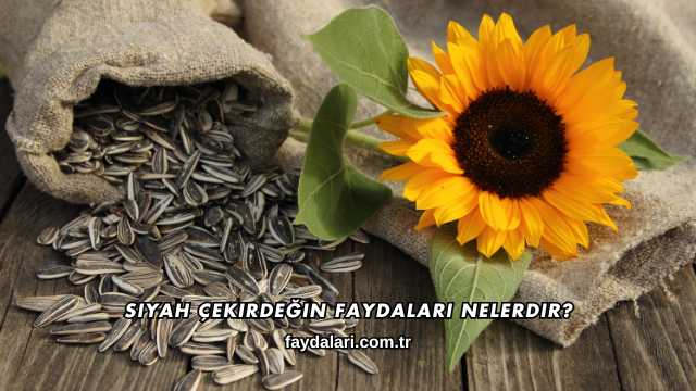 Siyah Çekirdeğin Faydaları Nelerdir?