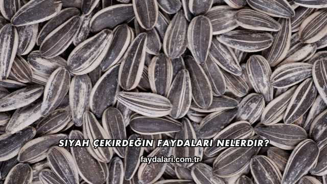 Siyah Çekirdeğin Faydaları Nelerdir?