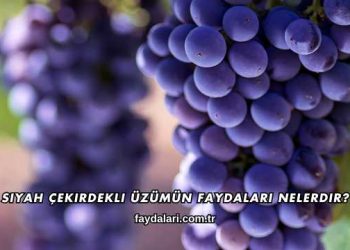 Siyah Çekirdekli Üzümün Faydaları Nelerdir?