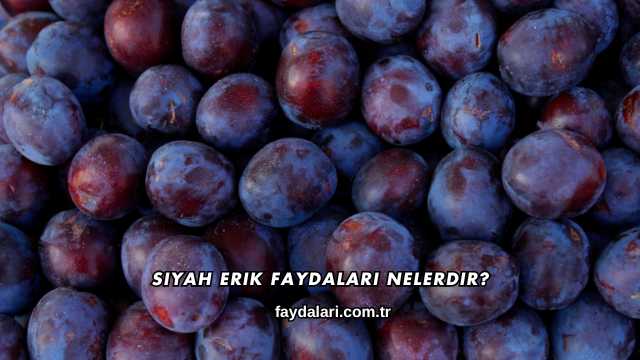 Siyah Erik Faydaları Nelerdir?