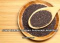 Siyah Hardal Tohumu Faydaları Nelerdir?