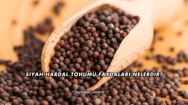 Siyah Hardal Tohumu Faydaları Nelerdir?